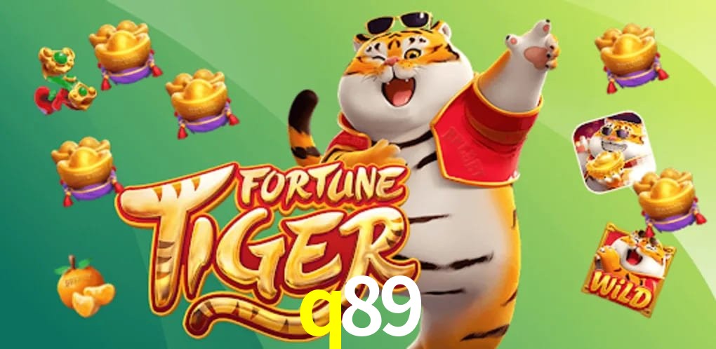 Experiência VIP q89